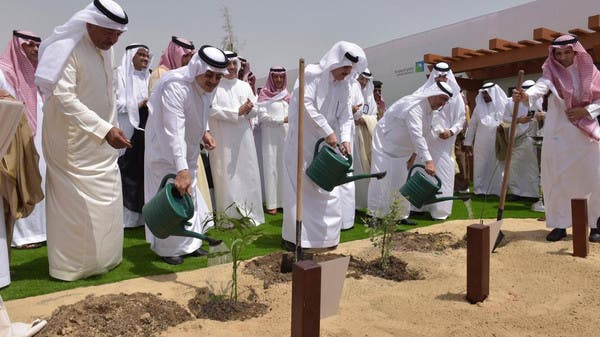 Saudi Arabia sees fields of green with significant tree-planting drive