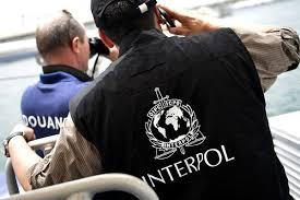 Cannabis and cocaine seized in enormous Niger and South Africa narcotics related arrests