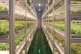 Bowery Farming, an indoor vertical farming startup raises $300m.