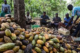 IFC loan of $300m will turn Ivory Coast into a regional medicine hub – PM