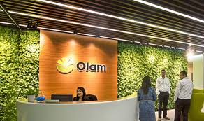 Olam food ingredients unit to raise $3b from London IPO