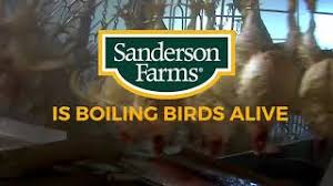 Cargill-led group acquires Sanderson Farms for $4.3b amidst soaring prices of chicken.