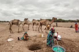 Drought in the Horn of Africa puts millions of people in jeopardy.