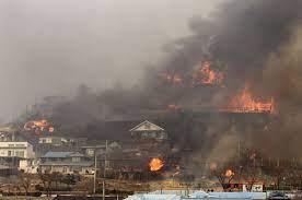 Climate change: A wildfire in S. Korea has destroyed 159 homes and forced 6,200 people to flee.