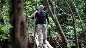 A hunt for a British journalist and a Brazilian expert in the Amazon forest turned up 2 bodies.