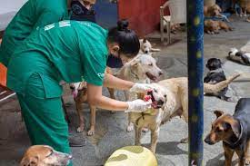 UK cost of living crisis takes its toll as people abandon live pets on the streets.