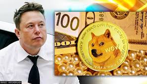 Dogecoin: Elon Musk $258b racketeering lawsuit adds plaintiffs.