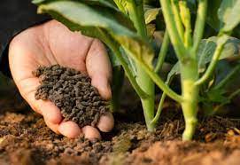 Kenya to eliminate fossil fuels by developing an organic fertilizer supply chain with FFI.