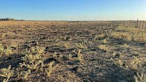 Climate change: Argentina suffers the worst drought in 60 years, millions of dollars in losses, and bankrupt farmers.