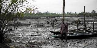 UK Supreme Court awards Shell victory on the 2011 oil spill off the Nigerian coast.