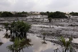 Nigeria to spend $12b to clean up Bayelsa oil spills caused by Shell and Eni – report.