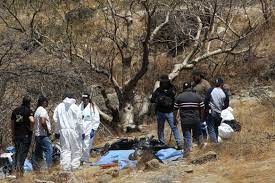 Mexico drug cartel: 8 young workers tried to quit call center scam jobs, killed and dumped in body bags.