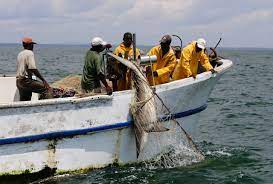 Climate finance: Gabon adopts a $500m debt-for-nature swap to restore its oceans.