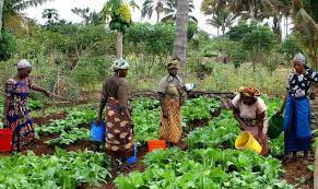 U.S., Norway launches $200m Africa agricultural fund across the value chain.