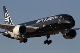 Air New Zealand scraps carbon emissions targets, citing the high cost and scarcity of available solutions.