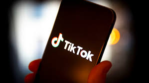 TikTok fights forced sale or ban by affirming the status of foreign-owned American news outlets.