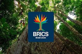 Nigeria becomes the 9th BRICS partner country and may face a 100% tariff from the U.S.