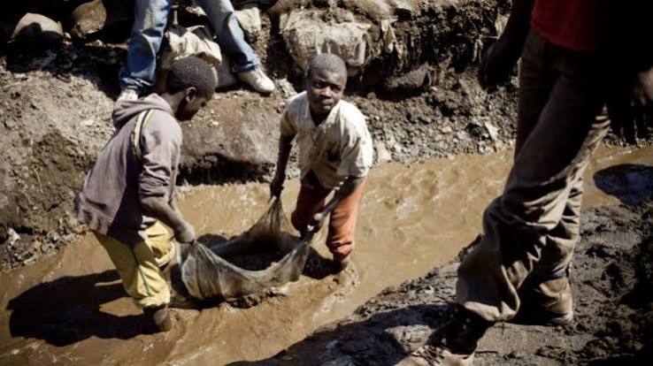 Surging global demand for critical minerals triggered violence and poverty in Africa, the WTO says.